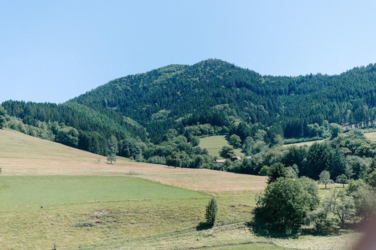 Rustikale 3 Zi.-Fewo Naehe Freiburg 70Qm Simonswald Esterno foto